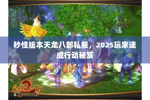 秒怪版本天龙八部私服，2025玩家速成行动秘笈