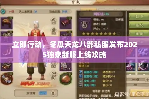 立即行动，冬瓜天龙八部私服发布2025独家新服上线攻略
