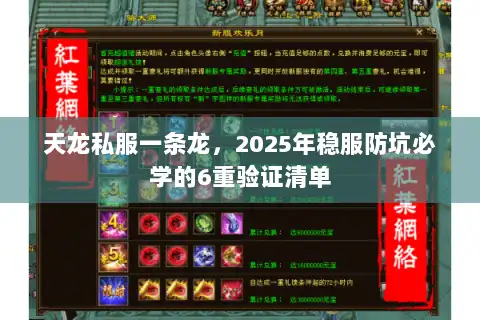 天龙私服一条龙，2025年稳服防坑必学的6重验证清单