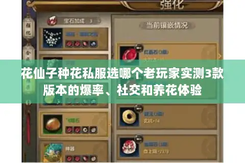 花仙子种花私服选哪个老玩家实测3款版本的爆率、社交和养花体验
