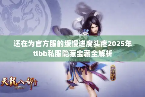还在为官方服的缓慢进度头疼2025年tlbb私服隐藏宝藏全解析