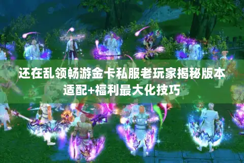 还在乱领畅游金卡私服老玩家揭秘版本适配+福利最大化技巧 还在乱领畅游金卡私服老玩家揭秘版本适配+福利最大化技巧