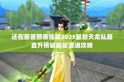 还在苦苦熬夜练级2025最新天龙私服直升榜破解版速通攻略