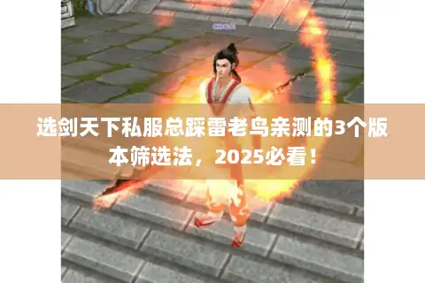 选剑天下私服总踩雷老鸟亲测的3个版本筛选法,2025必看! 选剑天下私服总踩雷老鸟亲测的3个版本筛选法,2025必看!