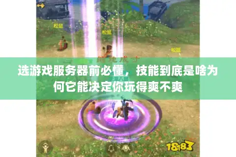 选游戏服务器前必懂,技能到底是啥为何它能决定你玩得爽不爽 选游戏服务器前必懂,技能到底是啥为何它能决定你玩得爽不爽
