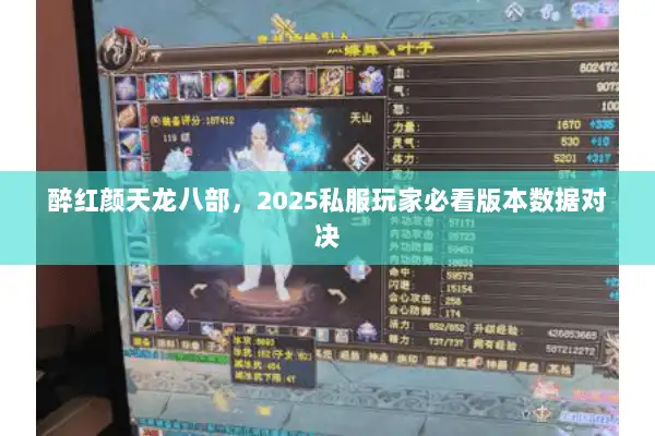 醉红颜天龙八部,2025私服玩家必看版本数据对决 醉红颜天龙八部,2025私服玩家必看版本数据对决
