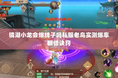 镜湖小龙会爆牌子吗私服老鸟实测爆率翻倍诀窍