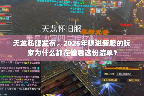 天龙私服发布,2025年稳进新服的玩家为什么都在偷看这份清单? 天龙私服发布,2025年稳进新服的玩家为什么都在偷看这份清单?