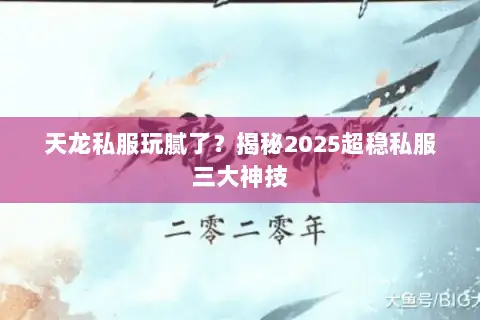 天龙私服玩腻了？揭秘2025超稳私服三大神技