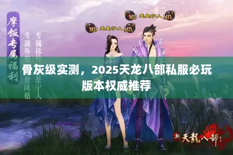 骨灰级实测，2025天龙八部私服必玩版本权威推荐