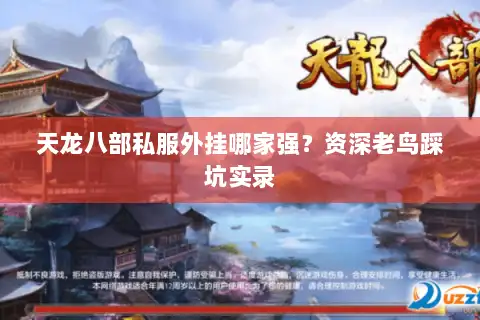 天龙八部私服外挂哪家强?资深老鸟踩坑实录 天龙八部私服外挂哪家强?资深老鸟踩坑实录