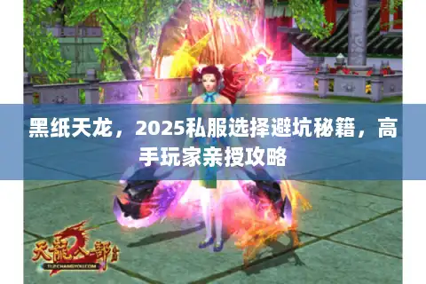 黑纸天龙，2025私服选择避坑秘籍，高手玩家亲授攻略