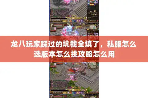 龙八玩家踩过的坑我全填了，私服怎么选版本怎么挑攻略怎么用