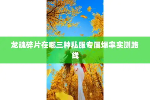 龙魂碎片在哪三种私服专属爆率实测路线 龙魂碎片在哪三种私服专属爆率实测路线