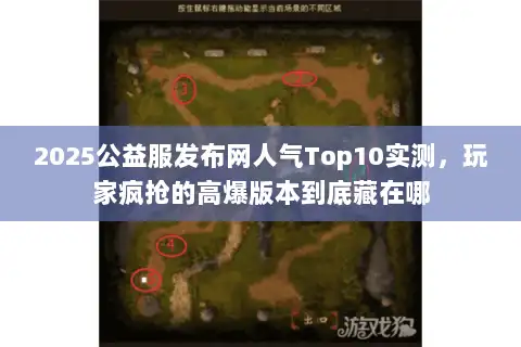 2025公益服发布网人气Top10实测，玩家疯抢的高爆版本到底藏在哪