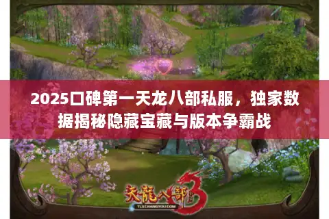 2025口碑第一天龙八部私服，独家数据揭秘隐藏宝藏与版本争霸战