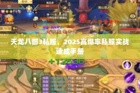 天龙八部3私服,2025高爆率私服实战速成手册 天龙八部3私服,2025高爆率私服实战速成手册