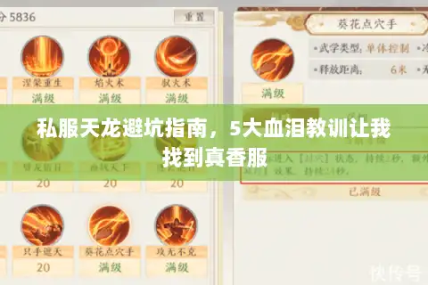 私服天龙避坑指南,5大血泪教训让我找到真香服 私服天龙避坑指南,5大血泪教训让我找到真香服