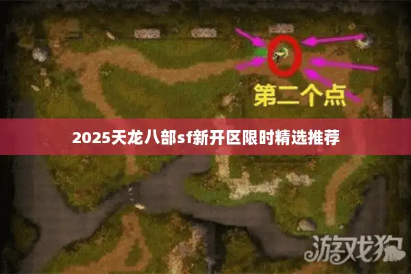 2025天龙八部sf新开区限时精选推荐 2025天龙八部sf新开区限时精选推荐