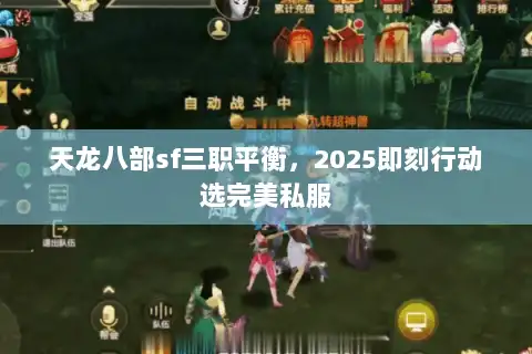 天龙八部sf三职平衡，2025即刻行动选完美私服