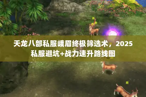 天龙八部私服峨眉终极筛选术，2025私服避坑+战力速升路线图