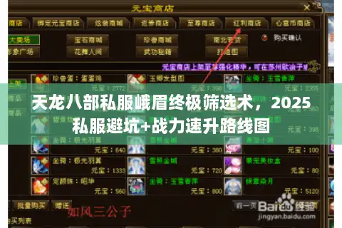 天龙八部私服峨眉终极筛选术，2025私服避坑+战力速升路线图