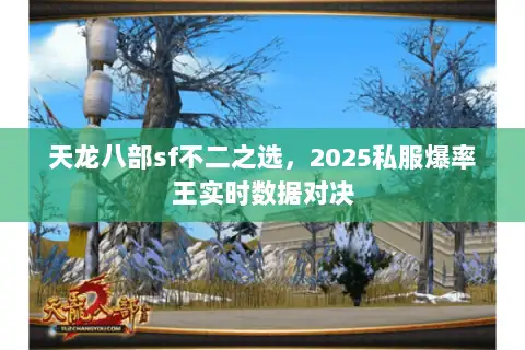 天龙八部sf不二之选,2025私服爆率王实时数据对决 天龙八部sf不二之选,2025私服爆率王实时数据对决