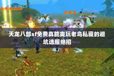 天龙八部sf免费真能爽玩老鸟私藏的避坑选服绝招
