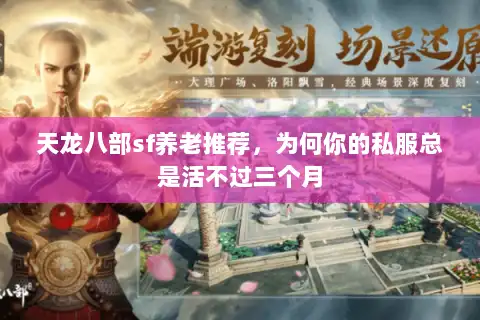 天龙八部sf养老推荐，为何你的私服总是活不过三个月
