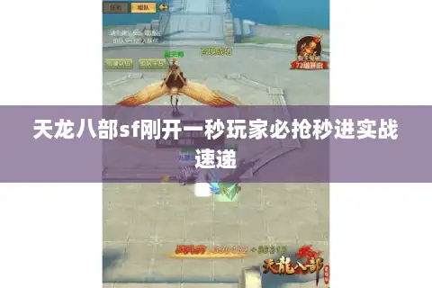 天龙八部sf刚开一秒玩家必抢秒进实战速递