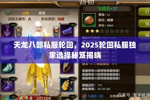 天龙八部私服轮回，2025轮回私服独家选择秘笈揭晓