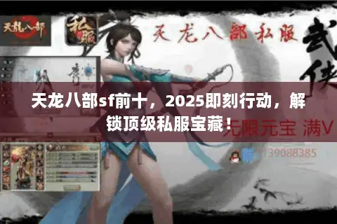 天龙八部sf前十，2025即刻行动，解锁顶级私服宝藏！