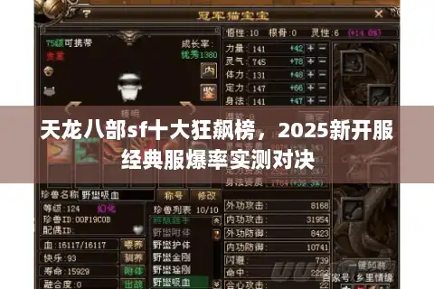 天龙八部sf十大狂飙榜，2025新开服经典服爆率实测对决