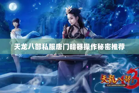 天龙八部私服唐门暗器操作秘密推荐 天龙八部私服唐门暗器操作秘密推荐