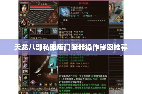 天龙八部私服唐门暗器操作秘密推荐 天龙八部私服唐门暗器操作秘密推荐