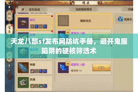天龙八部sf发布网防坑手册，避开鬼服陷阱的硬核筛选术
