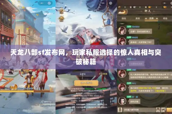 天龙八部sf发布网,玩家私服选择的惊人真相与突破秘籍 天龙八部sf发布网,玩家私服选择的惊人真相与突破秘籍