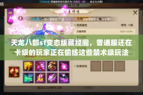 天龙八部sf变态版藏经阁，普通服还在卡级的玩家正在偷练这些禁术级玩法