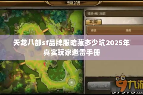 天龙八部sf品牌服暗藏多少坑2025年真实玩家避雷手册