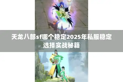 天龙八部sf哪个稳定2025年私服稳定选择实战秘籍