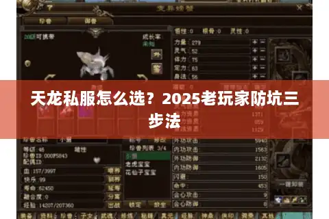 天龙私服怎么选？2025老玩家防坑三步法