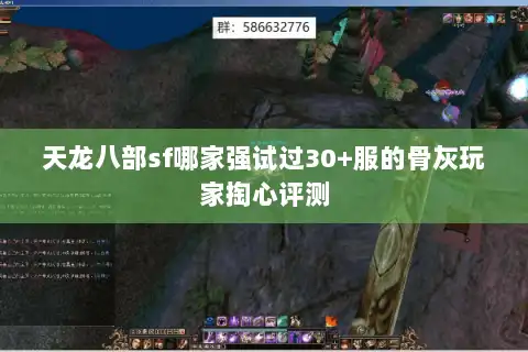 天龙八部sf哪家强试过30+服的骨灰玩家掏心评测