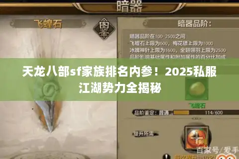 天龙八部sf家族排名内参！2025私服江湖势力全揭秘