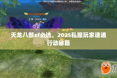 天龙八部sf必选，2025私服玩家速通行动秘籍