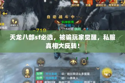 天龙八部sf必选，被骗玩家觉醒，私服真相大反转！