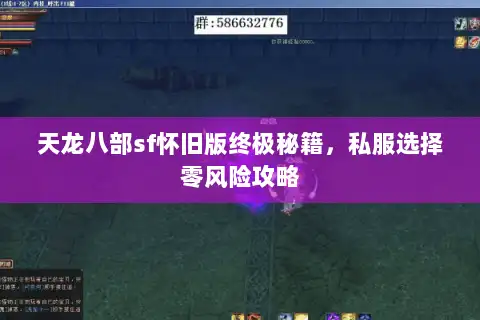 天龙八部sf怀旧版终极秘籍,私服选择零风险攻略 天龙八部sf怀旧版终极秘籍,私服选择零风险攻略