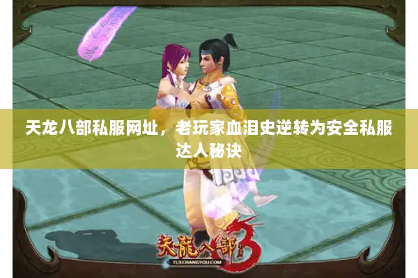 天龙八部私服网址，老玩家血泪史逆转为安全私服达人秘诀