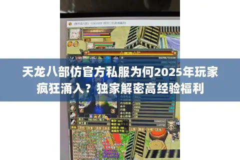天龙八部仿官方私服为何2025年玩家疯狂涌入？独家解密高经验福利