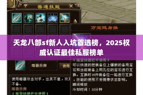 天龙八部sf新人入坑首选榜，2025权威认证最佳私服榜单