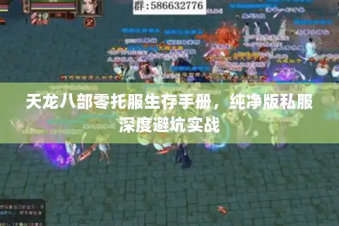 天龙八部零托服生存手册，纯净版私服深度避坑实战